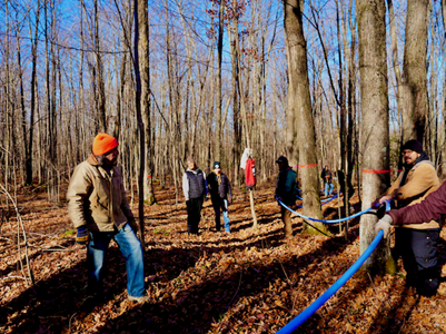 Tapping Into Wisconsin’s Maple Momentum