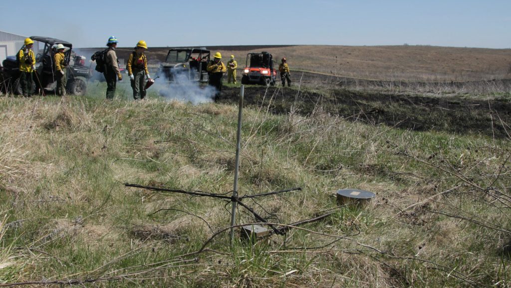 A group of fire professionals performing a controlled burn at the 2024 Hands-On Fire Science Workshop co-hosted by TPOS at Dunn Ranch Prairie in Northwest Missouri.