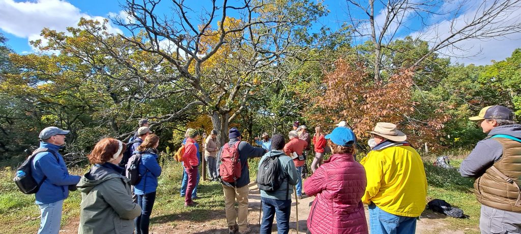 A group of people standing in a wooded area in the early fall listening to a talk at the 2022 Wisconsin Summit for Natural Resource Volunteers.