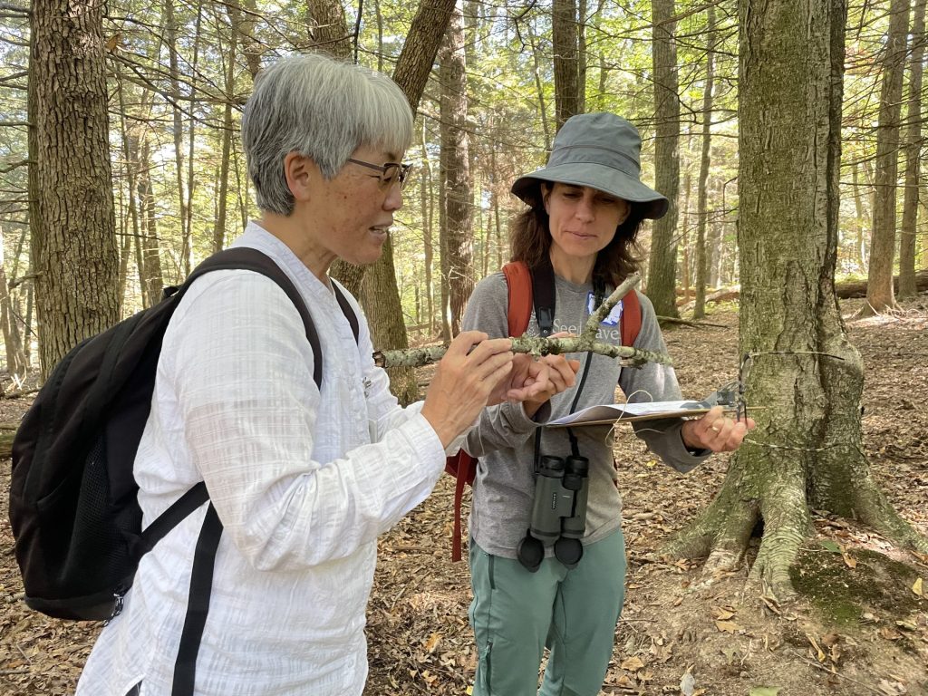 New Graphic Highlights the Healing Power of Time Spent in Nature
