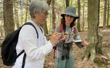 New Graphic Highlights the Healing Power of Time Spent in Nature