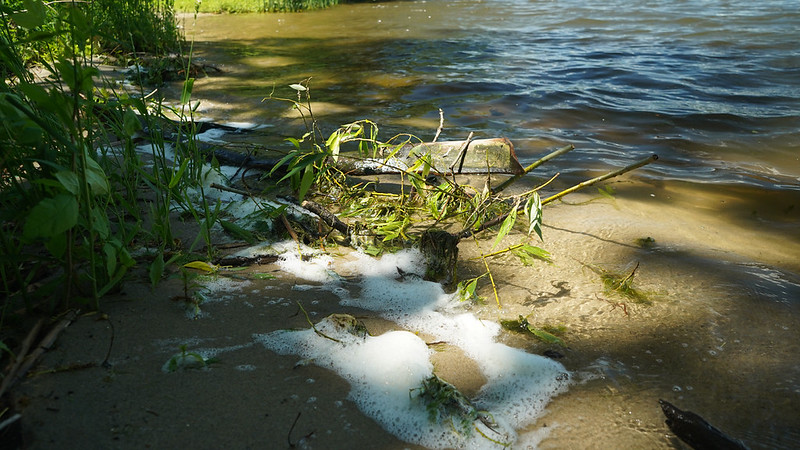 PFAS foam on a lake shoreline. 