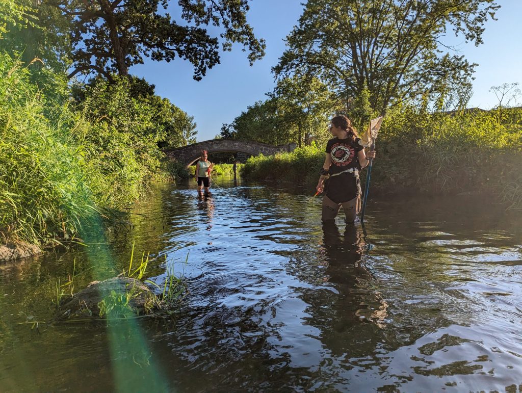 Community Volunteers Mobilize for Aquatic Invasive Species “Snapshot Day” Across Wisconsin