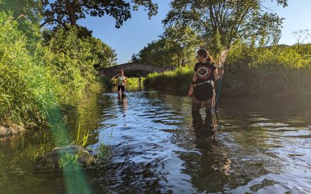 Community Volunteers Mobilize for Aquatic Invasive Species “Snapshot Day” Across Wisconsin