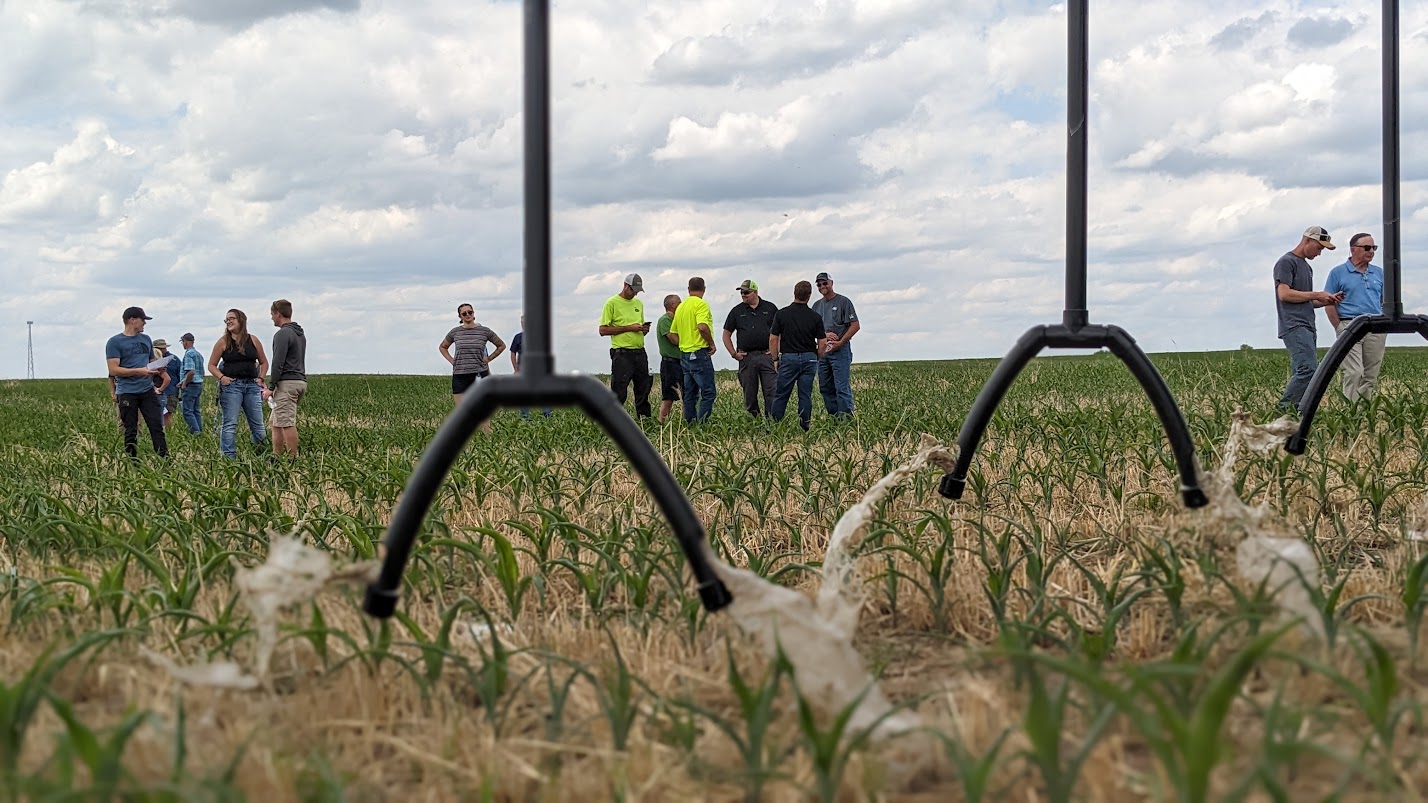 Groups of people standing and talking in an irrigated farm field